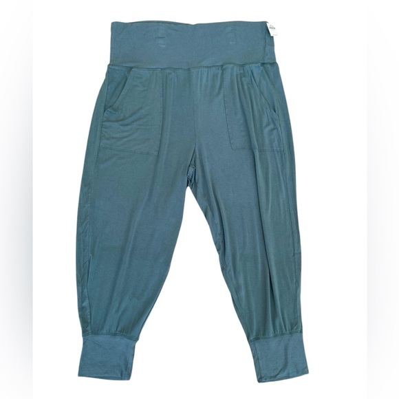 aerie Pants - Aerie Super Soft Joggers Size XXL  Sage Green Athleisure Comfy NEW